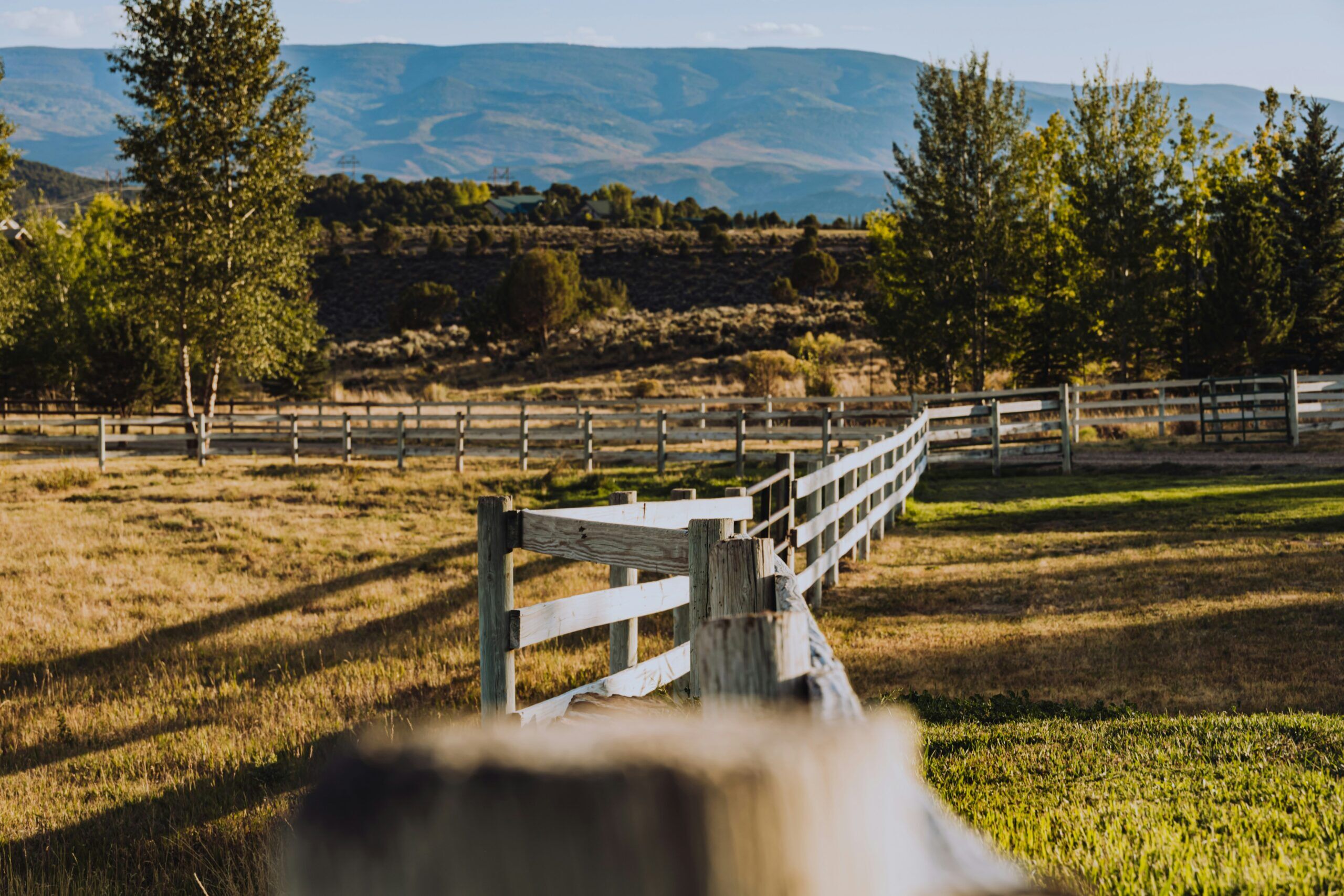 Real Ranch House Paying Your Realtor: How Real Estate Agent Compensation Works Today ...